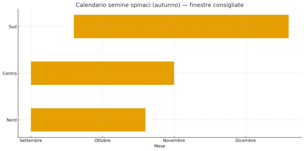 Tempi di raccolta: baby leaf 30–40 giorni, foglia grande 45–60