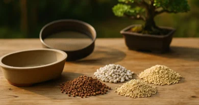 terriccio per bonsai con akadama, pomice e kanuma