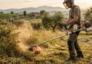decespugliatore a scoppio professionale