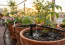 kit per irrigazione a goccia