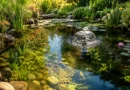 come curare un laghetto da giardino