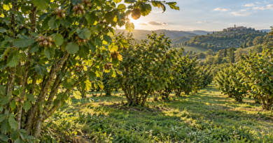 Concimazione del nocciolo